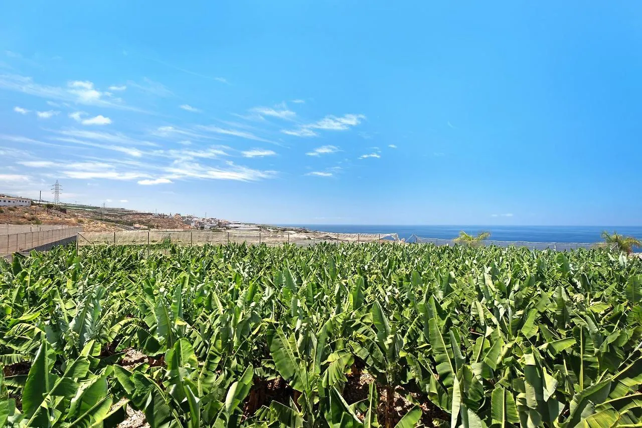 Finca La Calabacera Casa Blanca By Paramont Holidays Guia de Isora  Guia de Isora (Tenerife)